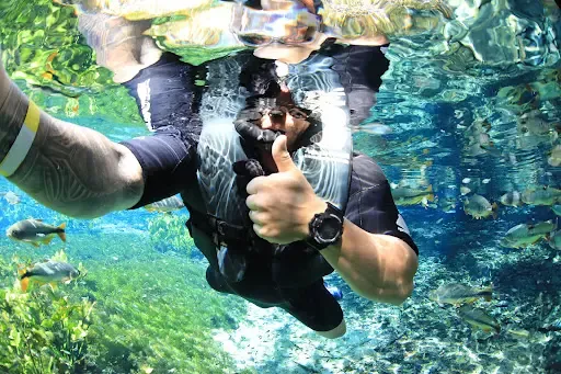 Clear spring water at Aquário Natural, Bonito, Mato Grosso do Sul