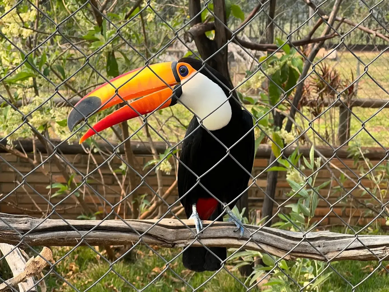 Bio Park, Bonito, Mato Grosso do Sul
