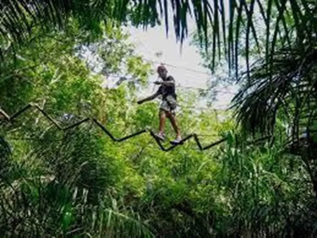 Harness and safety line on a tree-top course in Bonito, MS