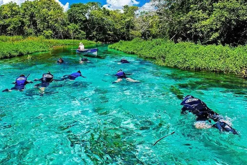 Flotation on a clear river in Bonito, Mato Grosso do Sul