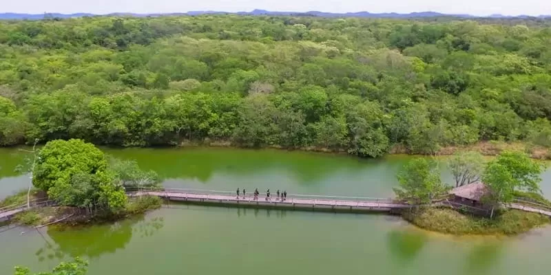 Aquário Natural, Bonito MS: a flutuação da nascente do Rio Baía Bonita