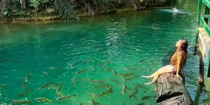 Municipal River Beach, Bonito MS: the public stretch of the Rio Formoso