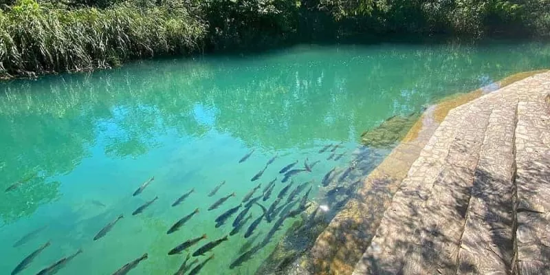 Municipal River Beach, Bonito MS: the public stretch of the Rio Formoso