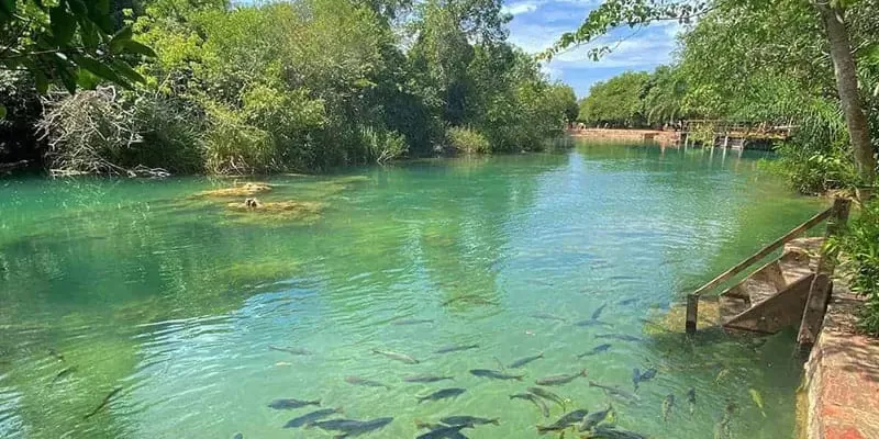 Municipal River Beach, Bonito MS: the public stretch of the Rio Formoso