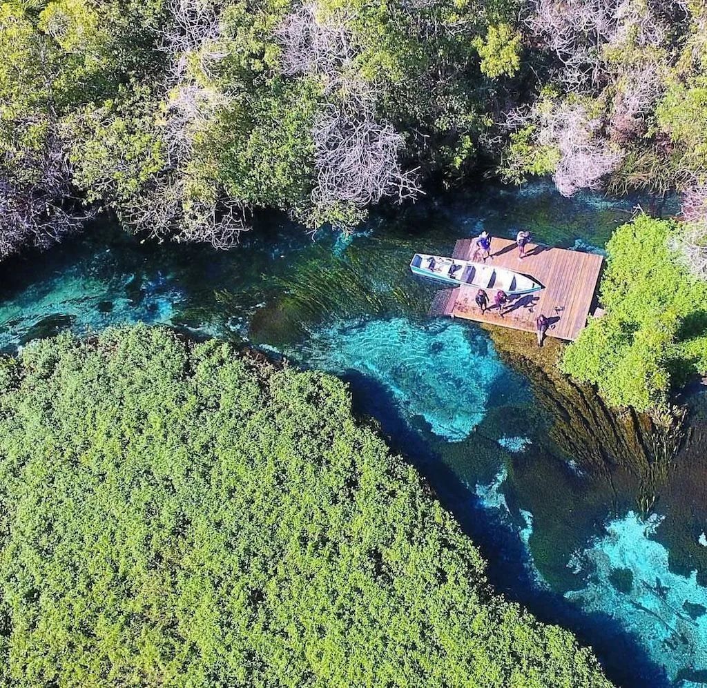Barra do Sucuri, Bonito MS: flutuação no encontro do Sucuri com o Formoso