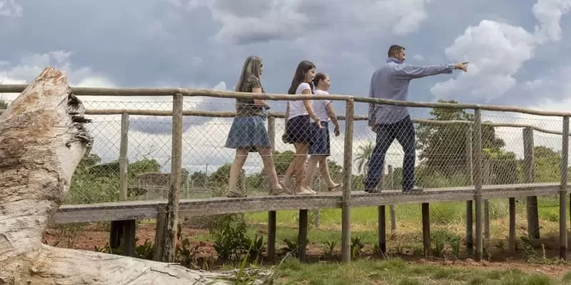 Bio Park Bonito MS: the wildlife of the Pantanal and Bodoquena up close