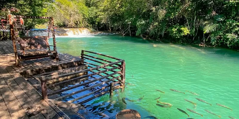 Bosque das Águas, Bonito MS: a river water park with natural pools