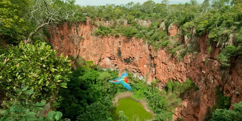 Buraco das Araras, Jardim MS: the sinkhole of the red macaws