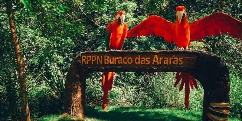 Buraco das Araras, Jardim MS: the sinkhole of the red macaws