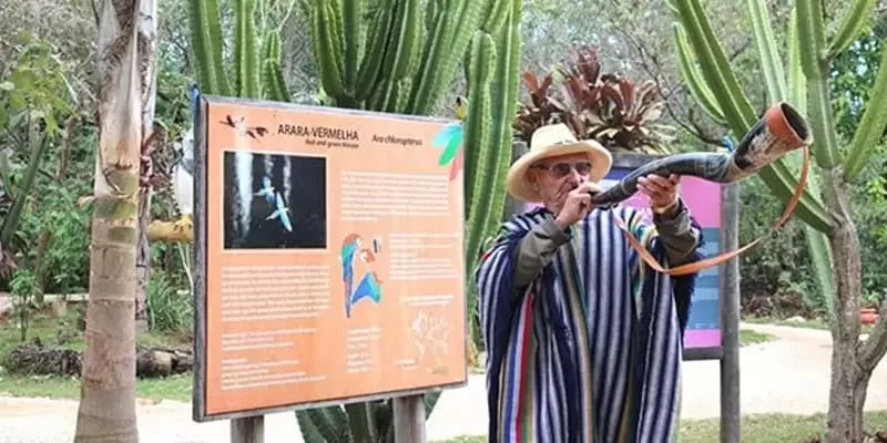 Buraco das Araras, Jardim MS: the sinkhole of the red macaws