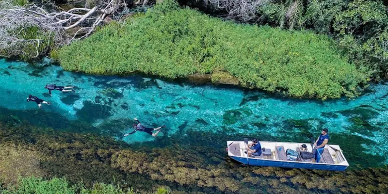 Rio Sucuri, Bonito MS: snorkelling from the spring, with no hiking