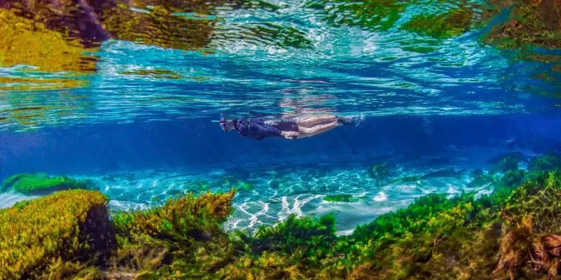 Rio Sucuri, Bonito MS: snorkelling from the spring, with no hiking