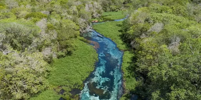 Rio Sucuri, Bonito MS: snorkelling from the spring, with no hiking