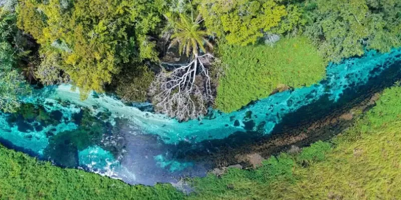 Rio Sucuri, Bonito MS: snorkelling from the spring, with no hiking