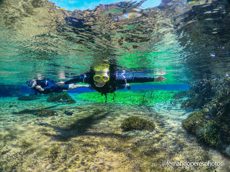 Rio Sucuri, Bonito MS: snorkelling from the spring, with no hiking