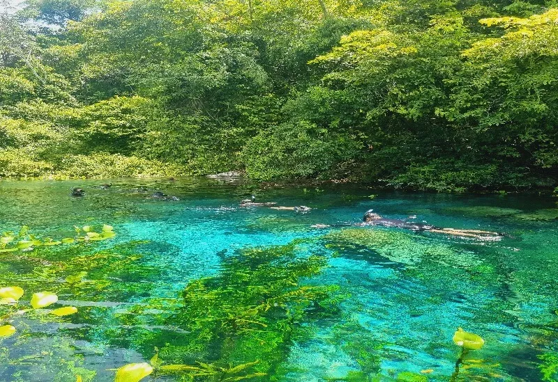 Nascentes da Serra and Rio Azul, Bonito MS: snorkelling away from the crowd