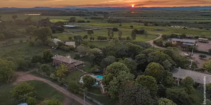 Fazenda San Francisco, Miranda MS: day and night safari in the Pantanal