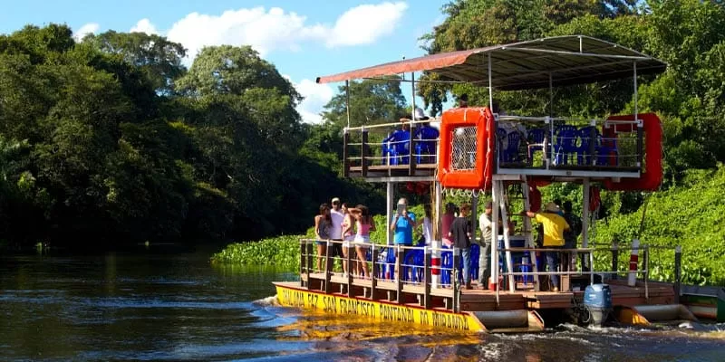 Fazenda San Francisco, Miranda MS: day and night safari in the Pantanal