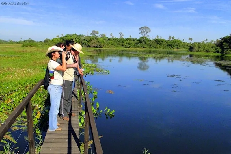 Fazenda San Francisco, Miranda MS: day and night safari in the Pantanal