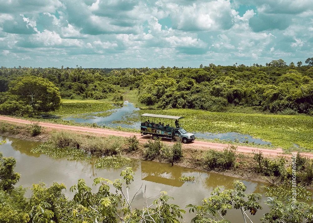 Fazenda San Francisco, Miranda MS: safári de dia e de noite no Pantanal