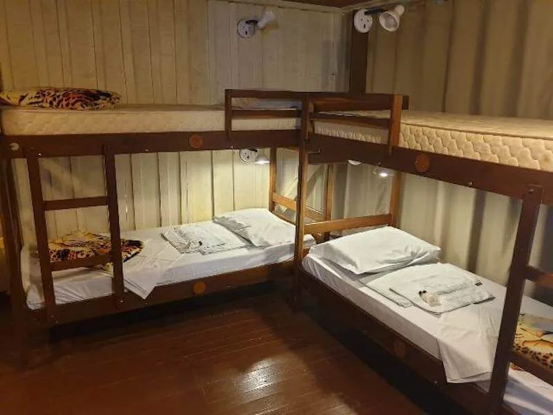 Pantanal lodges, MS: why sleeping in the Pantanal changes what you see