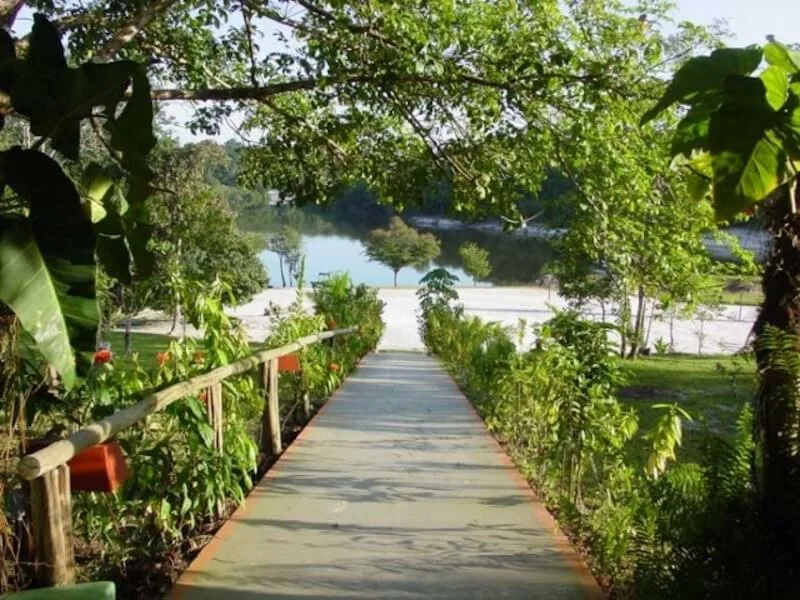 Pantanal lodges, MS: why sleeping in the Pantanal changes what you see