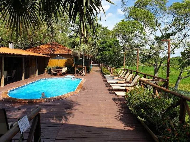 Pantanal lodges, MS: why sleeping in the Pantanal changes what you see