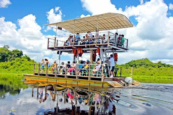 Pantanal of Mato Grosso do Sul: when to go, how to get there, what to expect