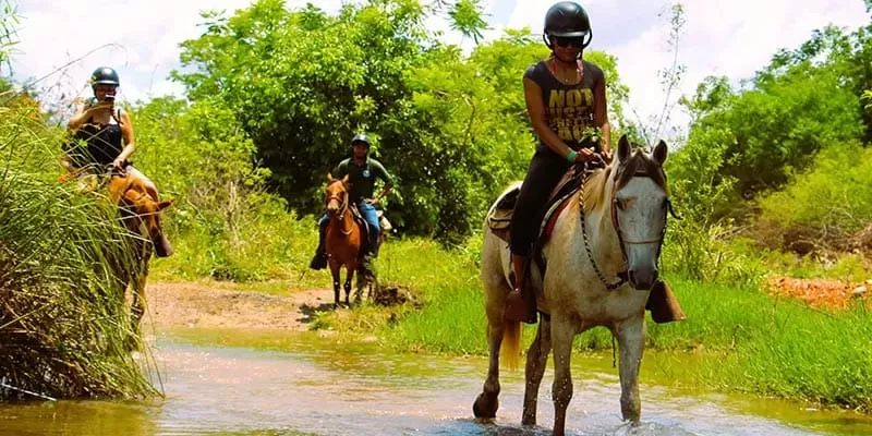 Parque Ecológico Rio Formoso, Bonito MS: tubing, horse riding and a swim