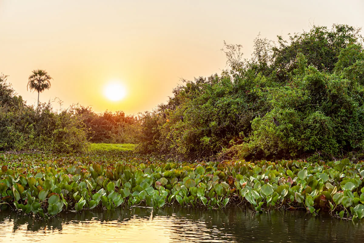 Projeto Salobra, Bodoquena MS: a mountain river at conservation pace