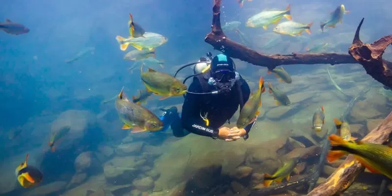 Rio da Prata, Bonito MS: the longest snorkel float in the region
