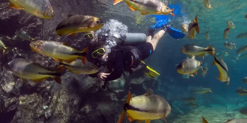 Rio da Prata, Bonito MS: the longest snorkel float in the region