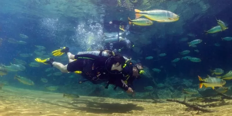 Rio da Prata, Bonito MS: the longest snorkel float in the region