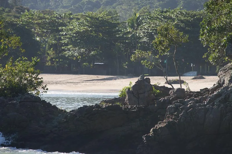 Rainforest trails, Ubatuba, litoral norte de Sao Paulo